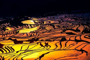 Yuanyang Hani Rice Terraces in Honghe, Yunnan